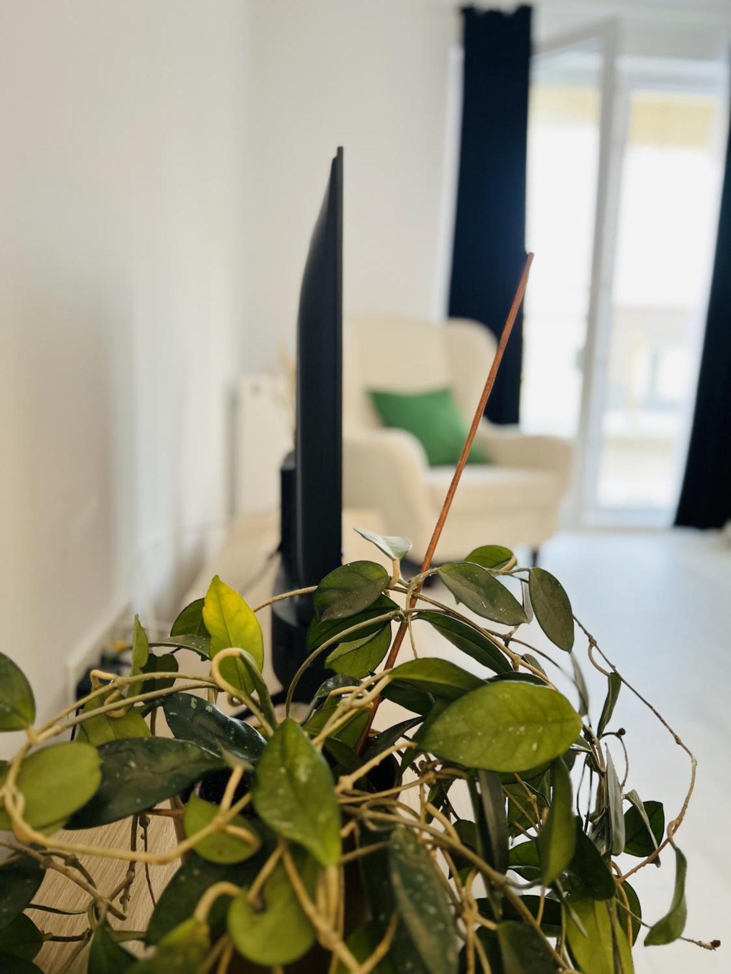 Airport Gardens Loft Διαμέρισμα Otopeni Εξωτερικό φωτογραφία